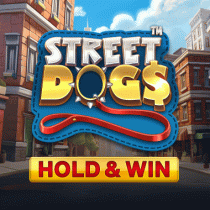 Street Dogs